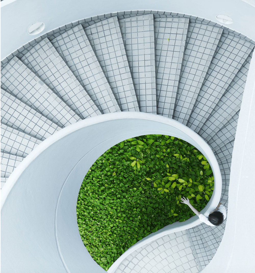 Registruotis Iliustracija