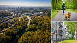 Pagrindinė investicijos nuotrauka